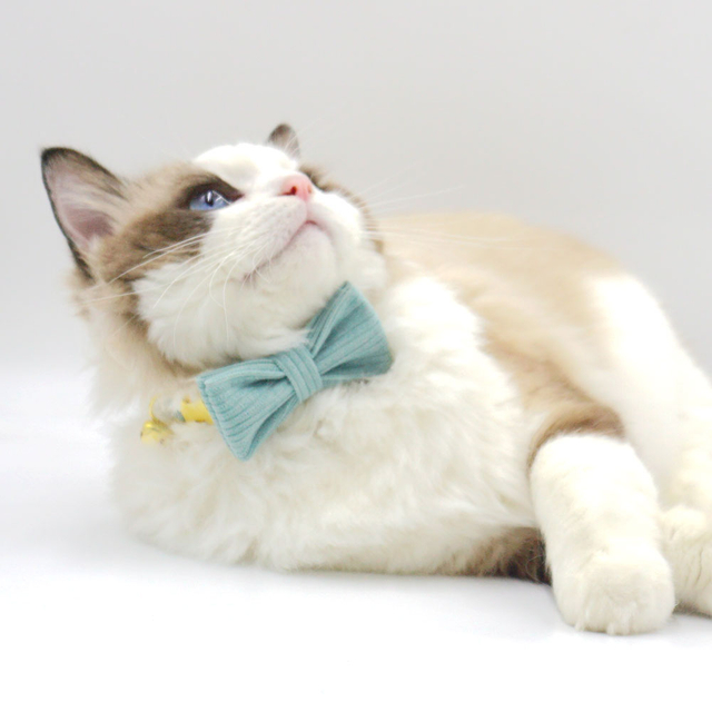 Cord-Katzenfliege – 17 traditionelle Farben mit 6 fabrikexklusiven Streifen, entwickelt f&uuml;r die gem&uuml;tlichsten Momente mit Katzenfotos