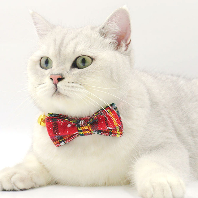 Festival Cat Bowtie — 11 Limited-Edition Halloween & Christmas Prints with Dual-Velcro Back for Wholesale & OEM