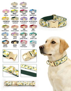 Collar para perros con frutas y flores: collar &uacute;nico independiente | Patrones limitados de temporada, 5 tama&ntilde;os XS-XL, OEM a partir de 20 piezas